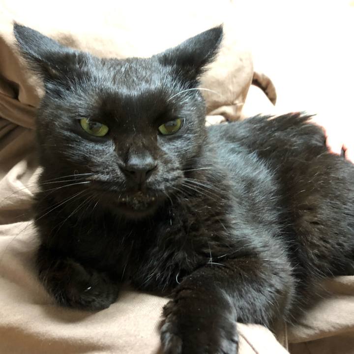 Dcb529b5 fb31 4409 ad39 b6c83f3594aa 1599740578739