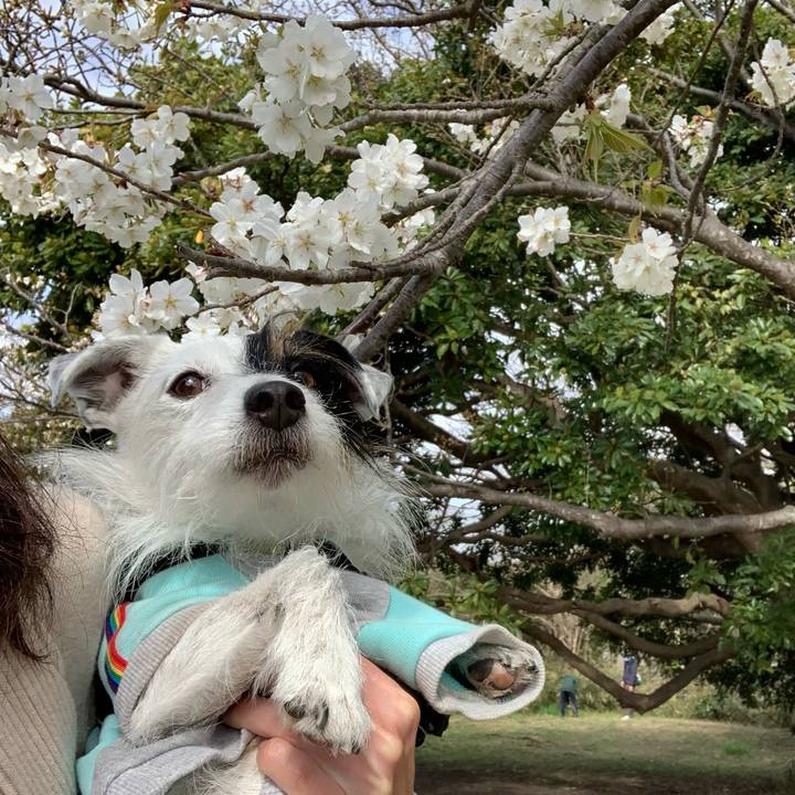 Dcb55588 620d 44d7 8ccf b1f2feb008cd 1648427941979