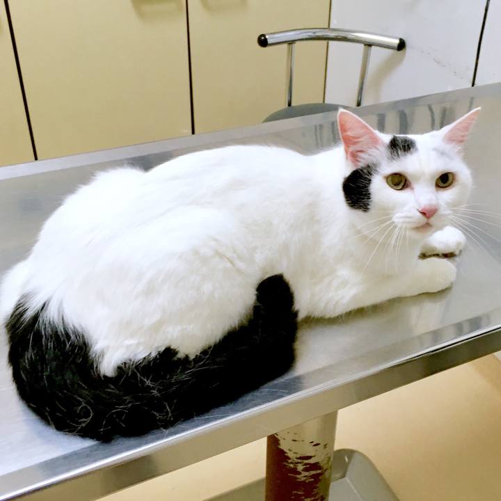 Dcb5a0f6 8246 4df6 ad9f 3c5ab4170e6f 1567672165909