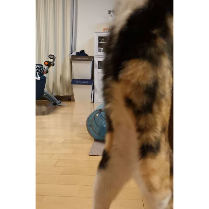 Dcb5d962 7185 4f04 8ba8 94daf851f6cb 1607589426111