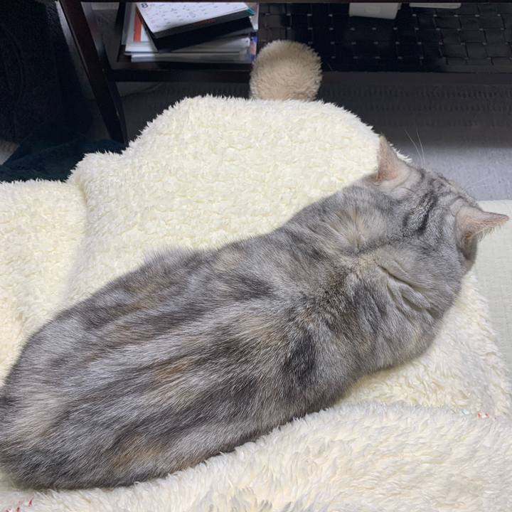 Dcb5fc83 959e 48a7 bbab 85227989d3f0 1711545752712