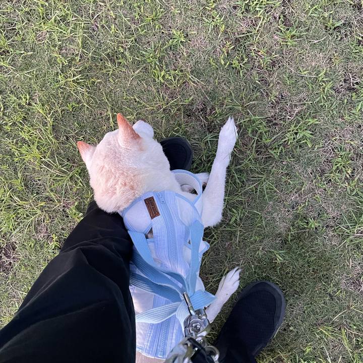 Dcb616e8 fe74 41a2 ae1e 347cf67d7e7b 1662984854077