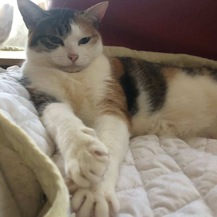 Dcb63b24 131e 4608 996b 769cb1ce3ba9 1612912508962