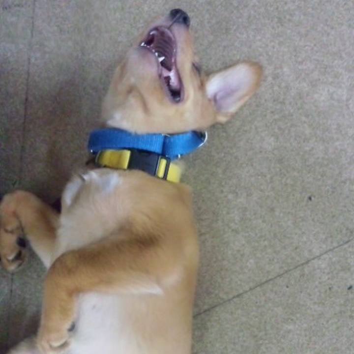 Dcb65f5f 7e02 408d 8e3a 947ca1a1a2c4 1516895932522