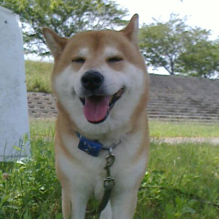 Dcb66cc9 e0a2 4b2a ae5e c0bb6d559359 1559225643922