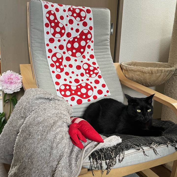 Dcb6869a 3e79 4f61 a9dc 932d82899e7c 1715396872304