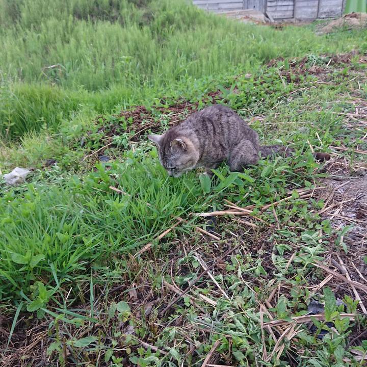 Dcb69aa3 180c 49ee 92a4 e06ecb663cf0 1592818929436