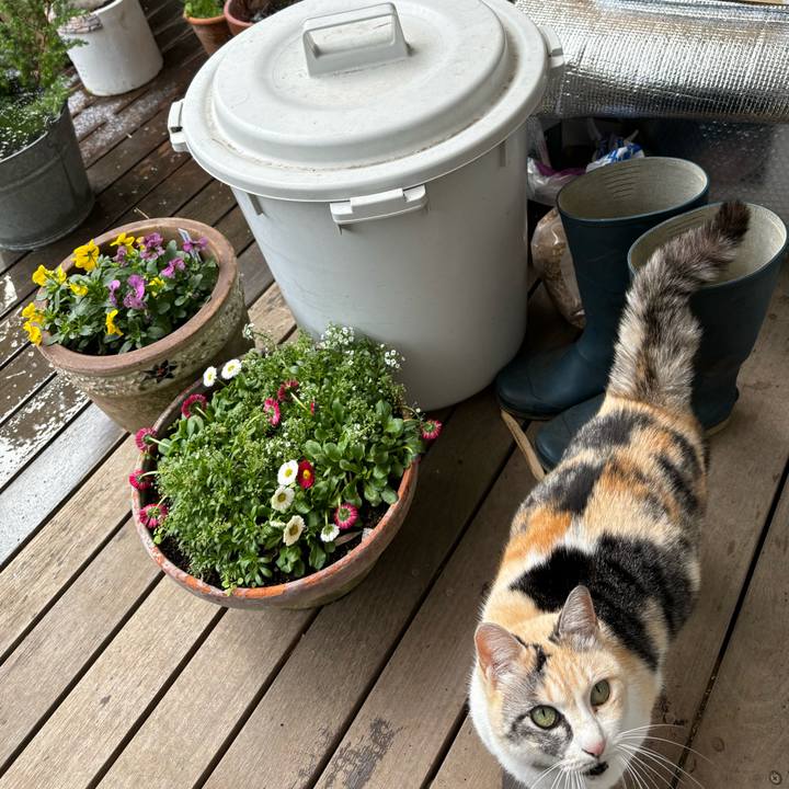 Dcb6cab6 3527 45d5 94fc 131ac1b178a7 1706063901233