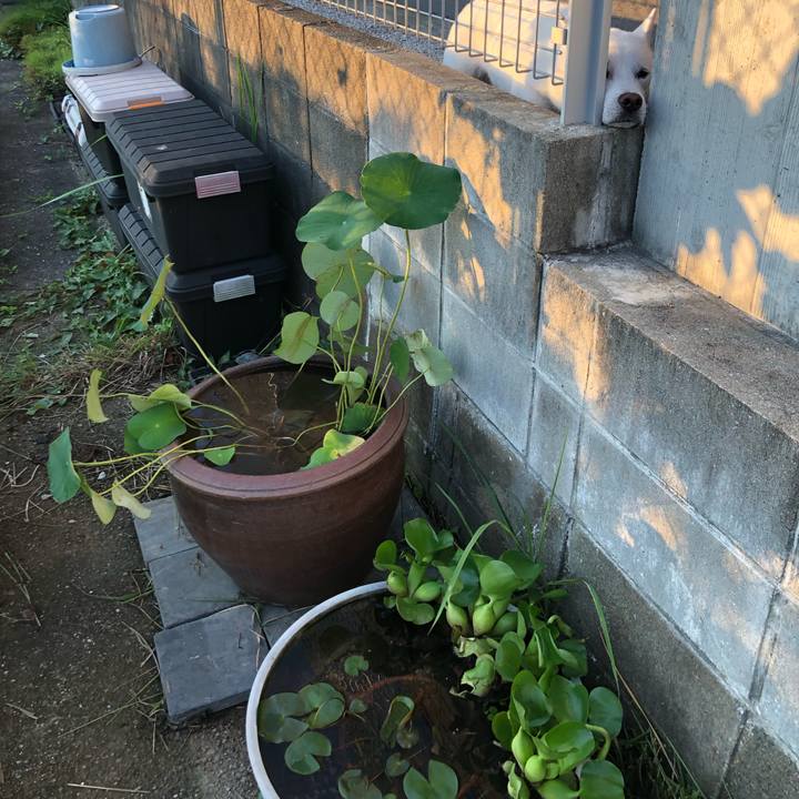 Dcb71c30 2b3d 433f 8e89 6b50d53d43bf 1564221776265