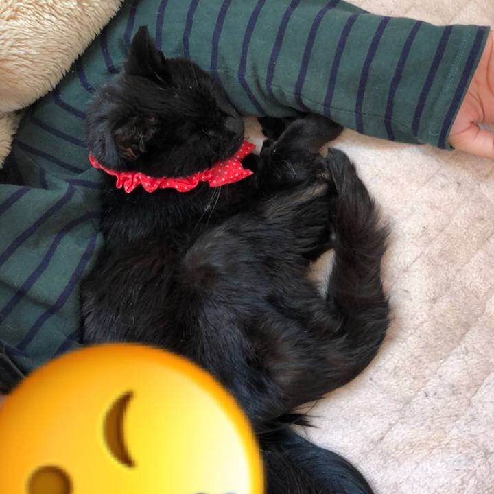 Dcb741a2 a59b 403a ab8b 4e7b9161f5d0 1556922267667