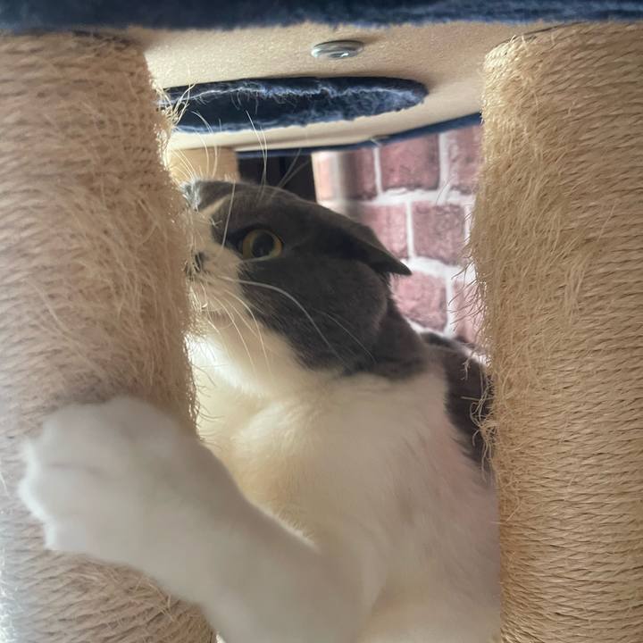 Dcb775e3 16fb 477e 8998 308ebd69f4b4 1648770476458