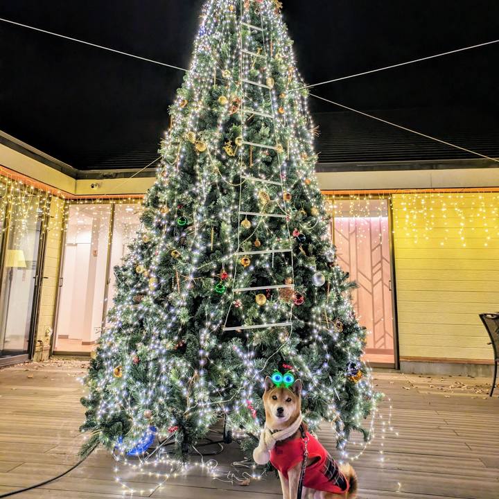 Dcb7c54b 40e9 4a7b b69f 2245701e69ef 1703414733156