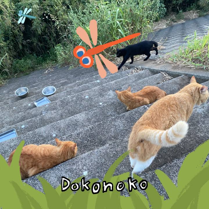 Dcb7d89a 2759 4cc5 8d7e a521b13af89d 1726933626609