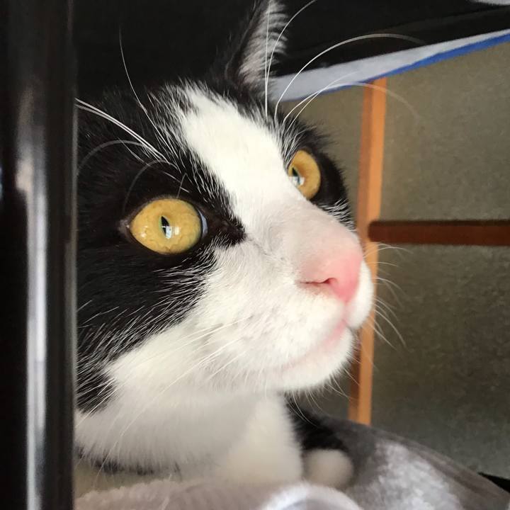 Dcb81524 1a6c 4d51 8090 394b25b9dfec 1638080845946