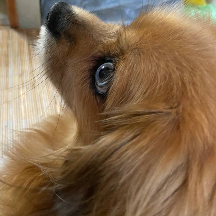 Dcb83511 a17f 44ee a62f c0ad415acea4 1628554958464