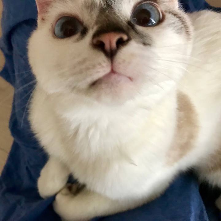 Dcb85311 cc56 4dca ab5d abba8c5ead15 1527324855339