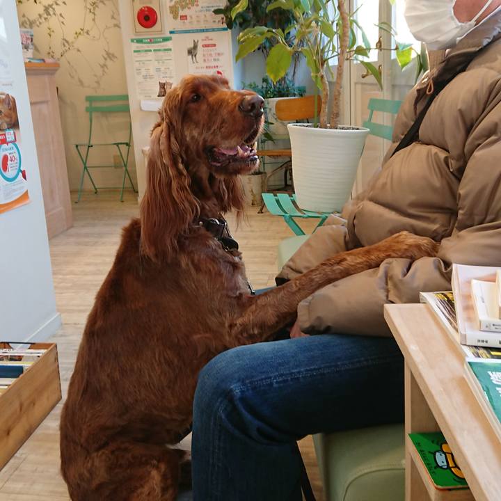 Dcb85b3d 91e6 4e5d 827f eaf720e9390c 1521301693148