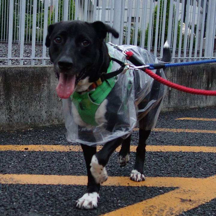 Dcb880f9 a2af 4403 bdc9 a7f2d90eda90 1593770578207