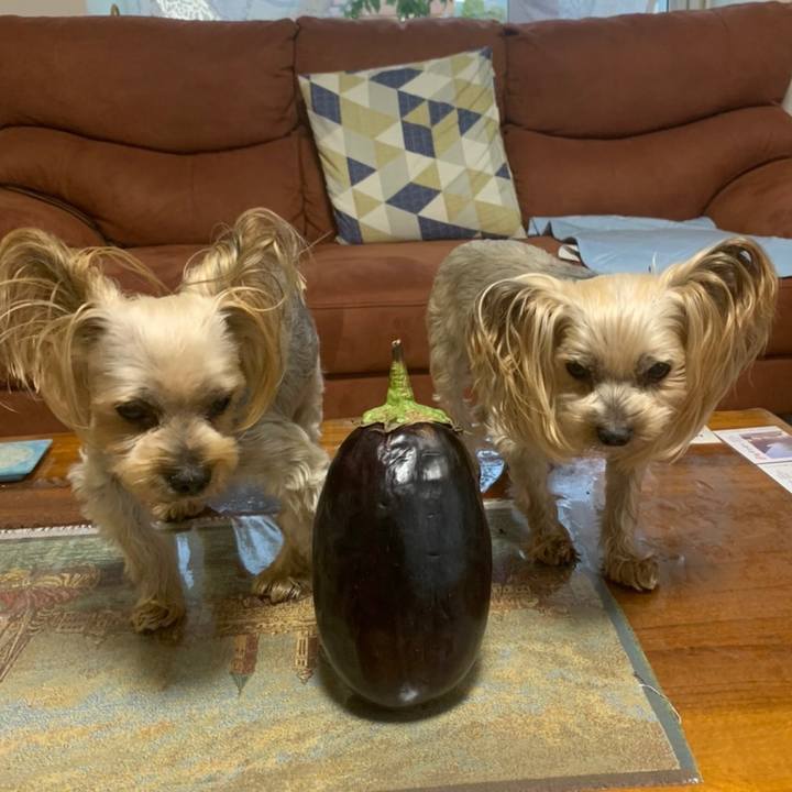 Dcb8dc1d f236 4555 ba17 9c73ce945d25 1631526989782