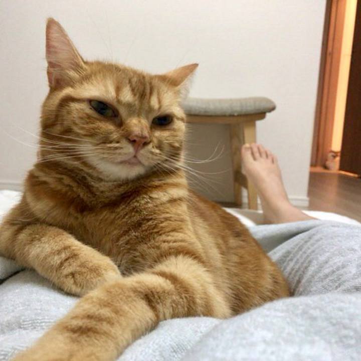 Dcb9058f 70c5 4363 9952 a613fcd48e8f 1534805173830