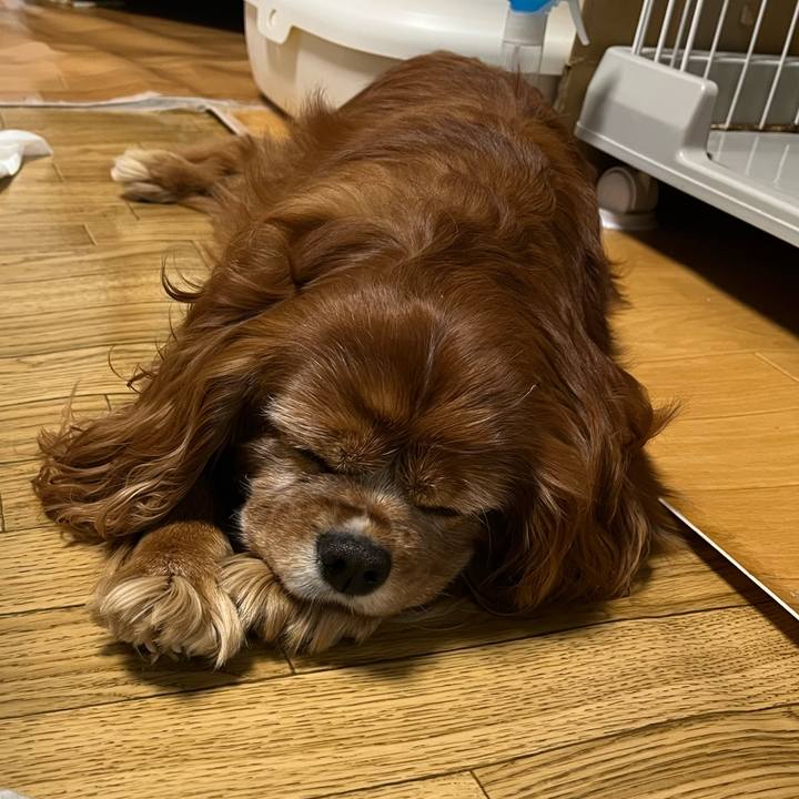 Dcb908ad 8eea 4f6d a983 5fee3b76928f 1734042216611