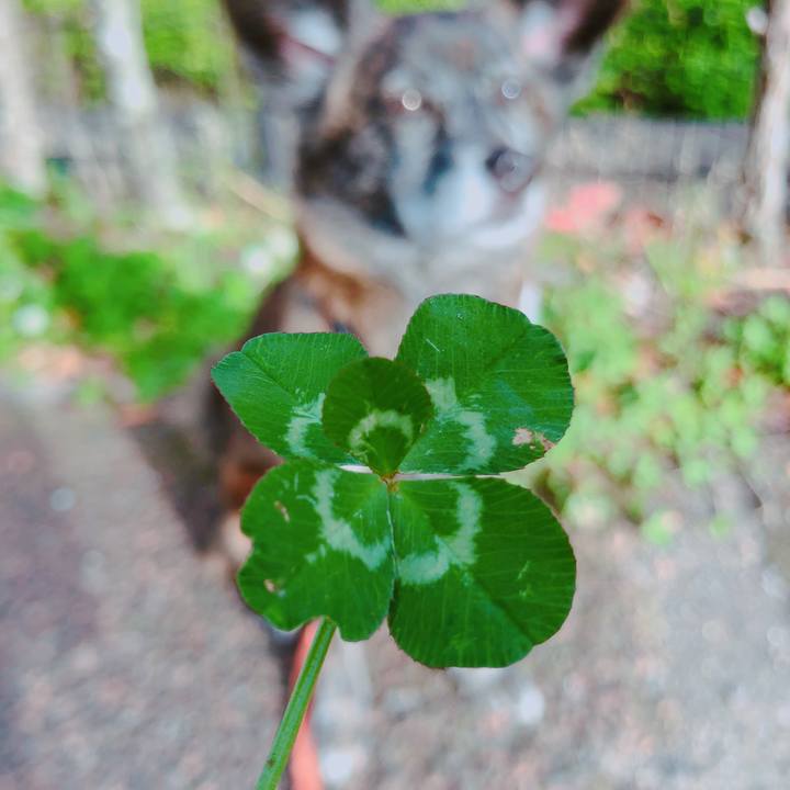 Dcb92921 63bf 4087 ba45 7492e3a6307b 1617149486215