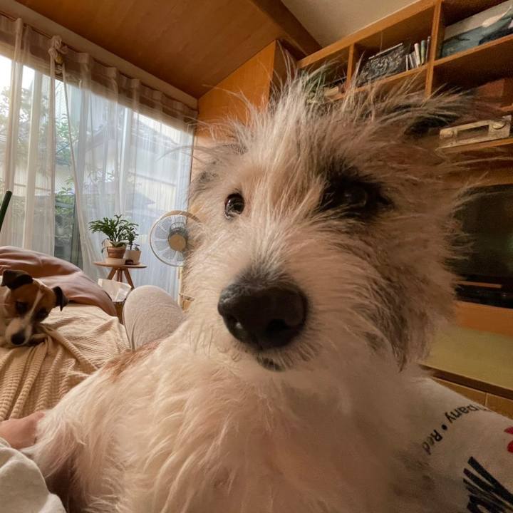 Dcb94e6c 020a 4817 82fa 838e83203ac1 1664694055840