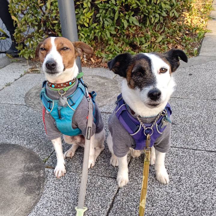 Dcb97893 f24f 4d4e 835c 90478e8e194f 1646951654534