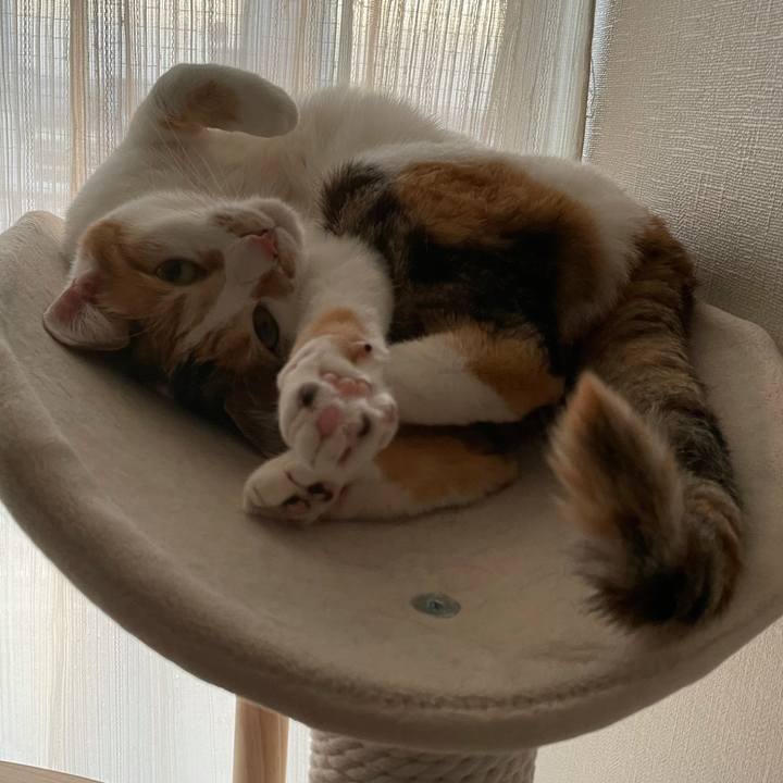 Dcb99363 7c47 4889 8594 f1e9fb0d69fa 1619861522726