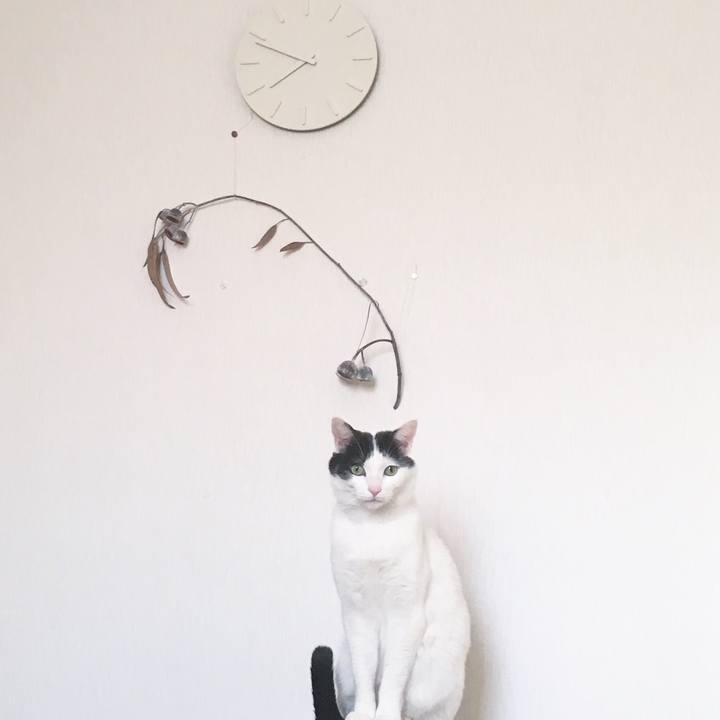 Dcba2bdc 9c7c 4958 acc3 7e3e046c9f7f 1517613126136