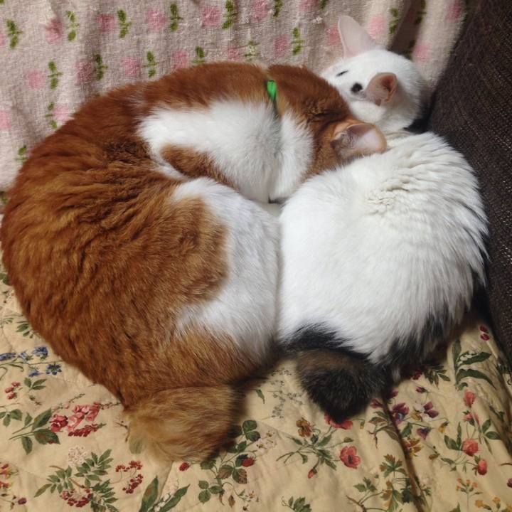 Dcba31b9 e902 4a52 87fe 08be02570c3c 1512388705771