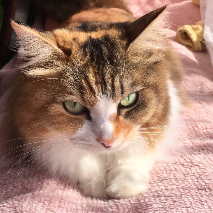 Dcba5192 a97e 4357 8f43 1126339ffc00 1573537770056