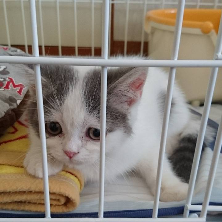 Dcba8881 c1b6 4cee a0b6 91c93b9c2fee 1527115441217