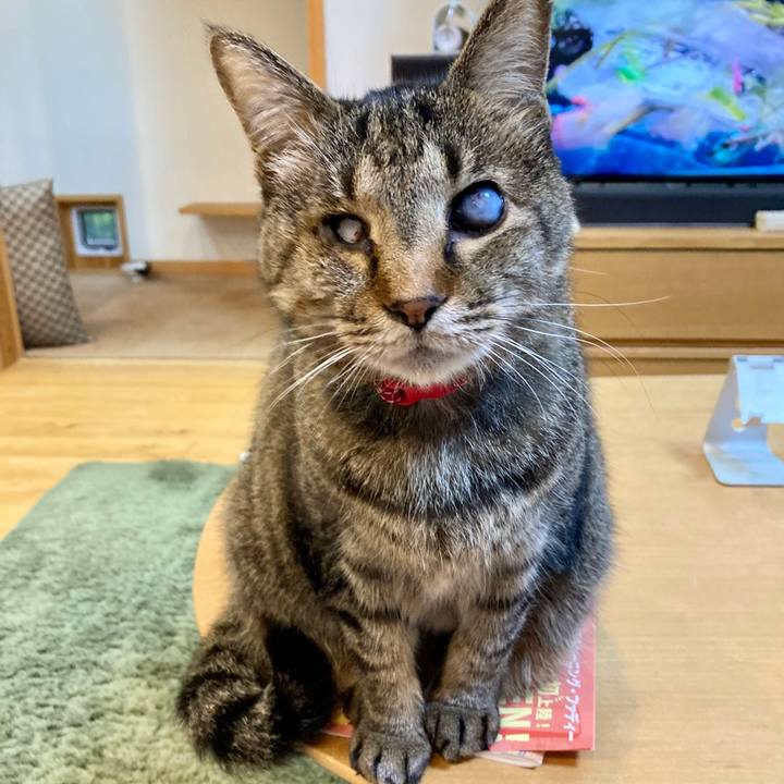 Dcba9137 e59c 4593 b8fc 8f759ac408a0 1651566776687