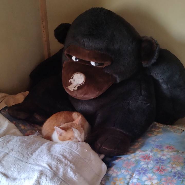 Dcba9796 9abd 49e9 abfb 1798a04c828c 1748822071712