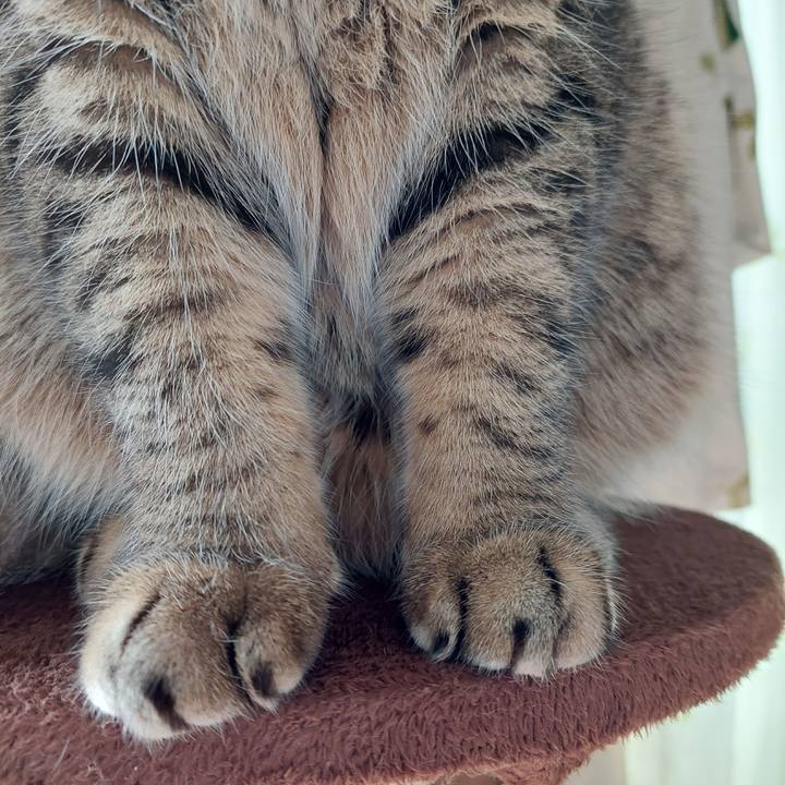 Dcbab0dc b83f 469b 8fb8 80d3209e435d 1665443732574