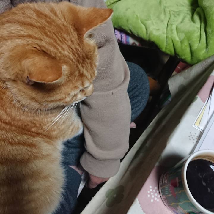 Dcbabf6c fdf7 4768 b2e5 f44403cc1bd8 1582142288067