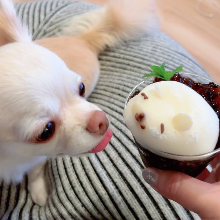 Dcbacf0b 52fb 4e1d a340 53c214de5dd9 1690372012271