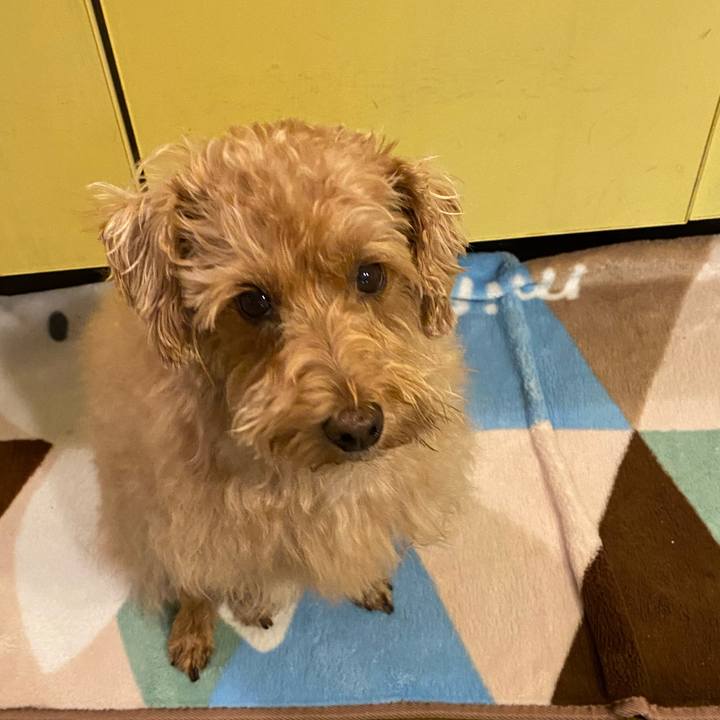 Dcbb28c5 eeaf 474c af65 86a77831fc26 1630963852918