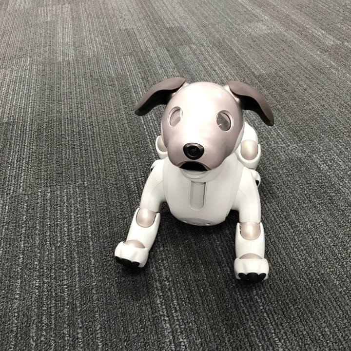 Dcbb36f5 7e62 494f 97fc 1acda9ff8275 1533837831778