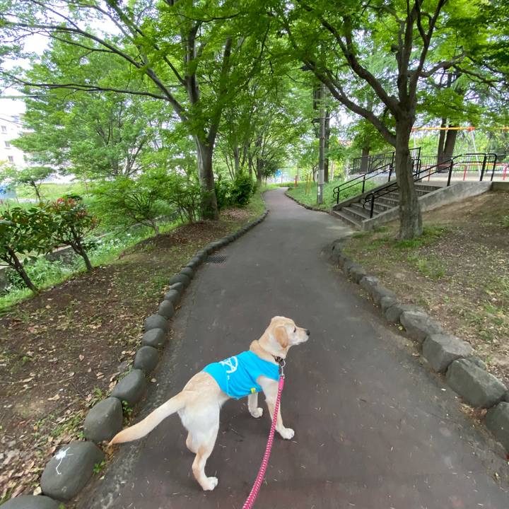 Dcbb3e17 5228 40df 8a99 d810bff8cf87 1620714203304