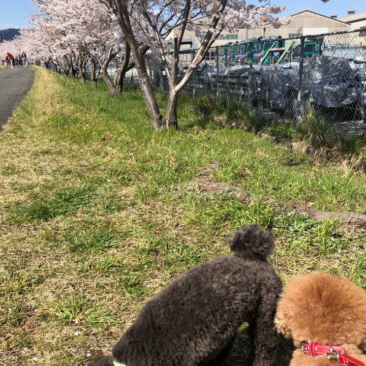 Dcbb7b6c 6eac 4487 a422 2d103dc904bd 1586227895877