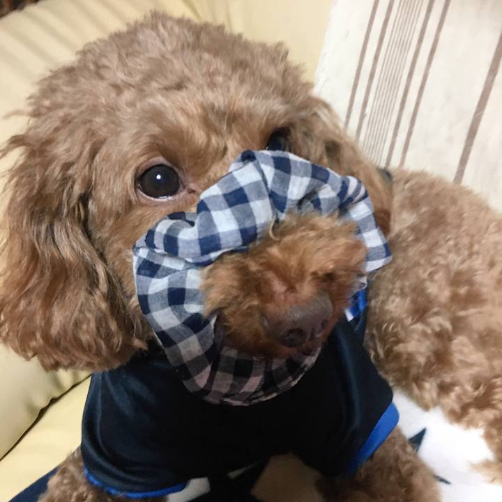 Dcbb7ca7 a22c 4439 9f18 01dfa9669810 1509362070993