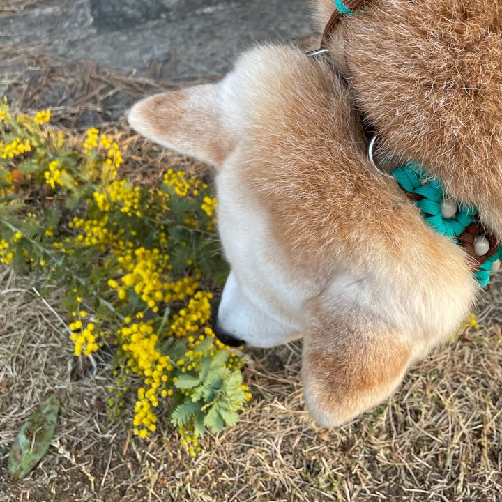 Dcbb83e6 a20e 46c5 9820 cc1212770e51 1647386327170