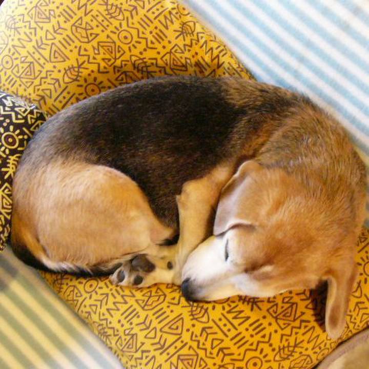 Dcbb8aff 2cf6 4411 ad1f c36f7f0461c1 1659570382467