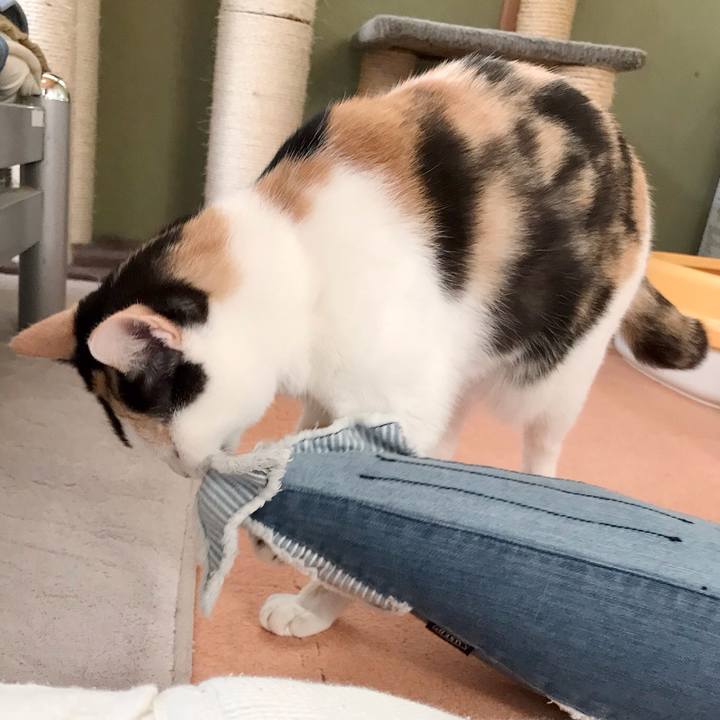 Dcbb8ec7 90b5 4eb4 8924 360d2e43efaf 1537416757405