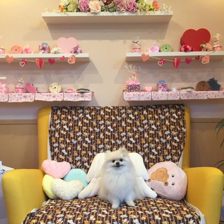 Dcbbadea d132 4cb2 833c c8ae48ec0b3c 1615771772737