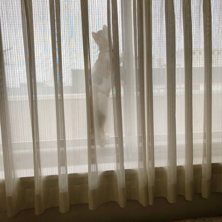 Dcbbf3f7 112f 4117 bf2d ba7046725cbb 1569800044876