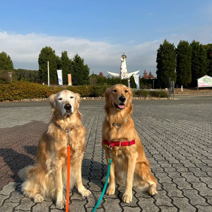 Dcbc074c 26ad 473c a249 8945615b5f78 1766105337629