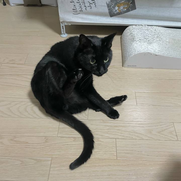 Dcbc0c13 3f1b 42af 95f0 f3bf3537a36f 1710078528389